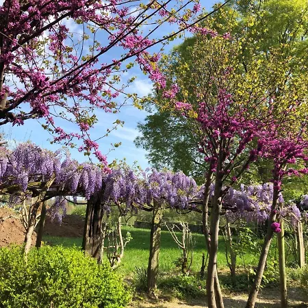 Bed & Breakfast Chateau Destinee Saint-Seurin-de-Prats