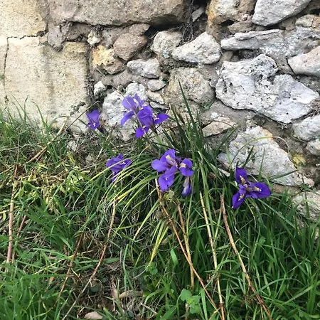 Chateau Destinee לינה וארוחת בוקר 4*