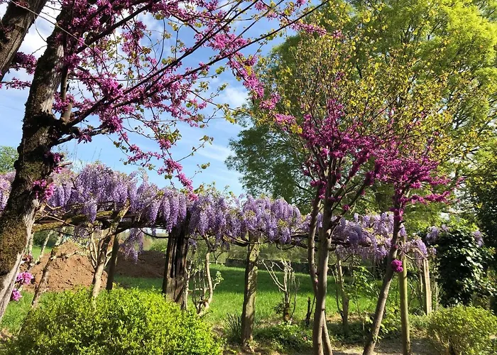 B&B Chateau Destinee Saint-Seurin-de-Prats