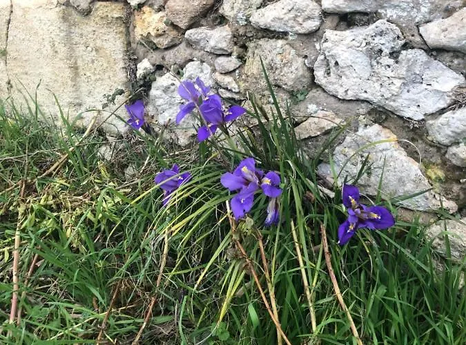 Chateau Destinee Bed & Breakfast 4*