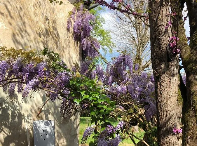 Chateau Destinee 4* Saint-Seurin-de-Prats